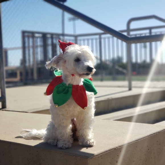 🚫SOLD🚫 adidas women's ultraboost 21 running shoes GZ7104 - Picture 16 of 16